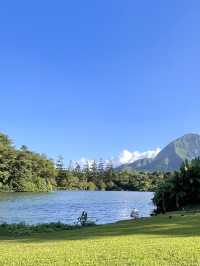 하와이 최대 수목원 호오말루히아 보태니컬 가든🌳🍃