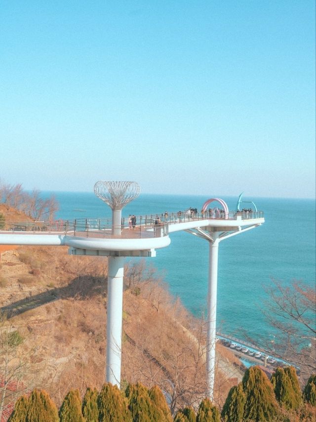 에메랄드 바다를 만날 수 있는 "묵호등대"