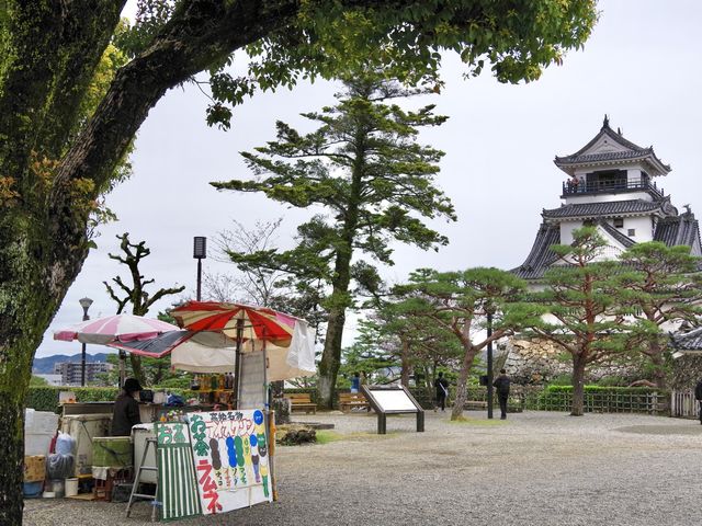 【高知市】日本百名城の春🌸