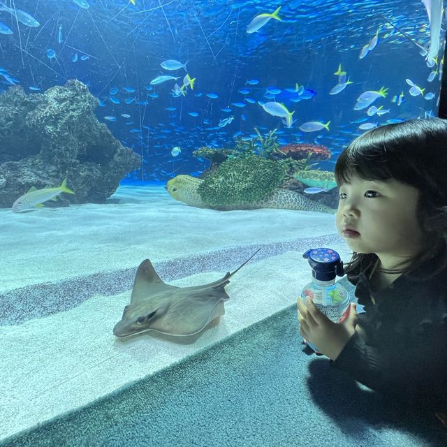 雨の日に水族館に行ってきた❤️