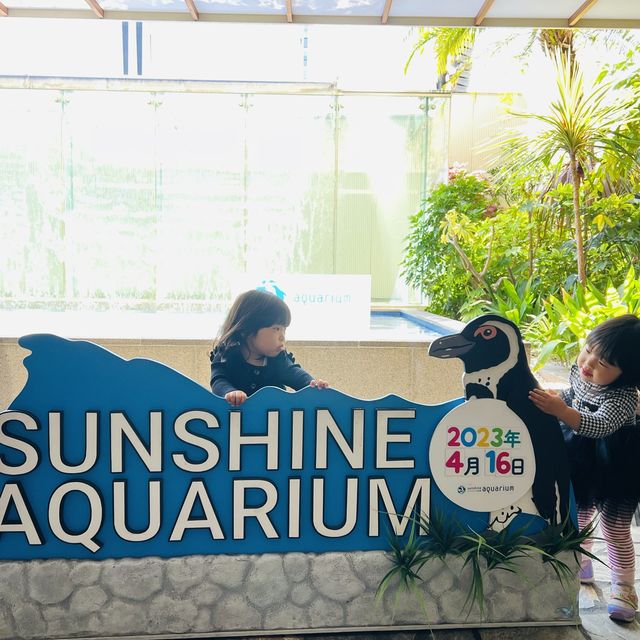 雨の日に水族館に行ってきた❤️