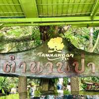 ทานข้าวกลางป่าใหญ่ ที่ร้านอาหารตำนานป่า ระยอง 🏕️