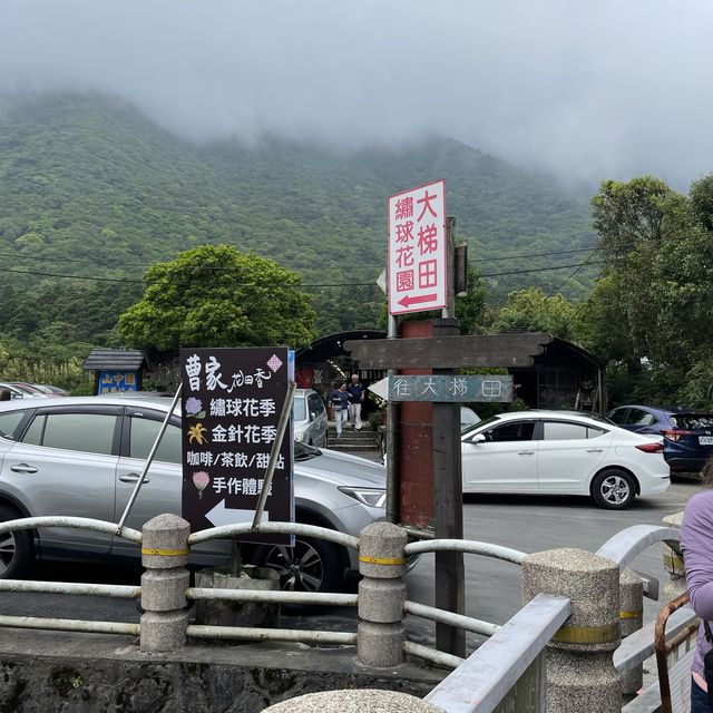 台北陽明山-繡球花園