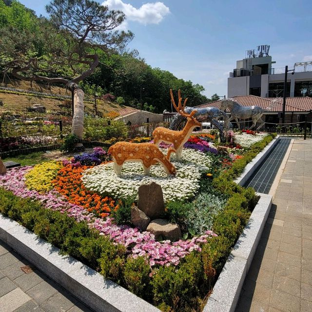 꽃이 가득한 정원으로 탈바꿈한 교동 화개정원🌺