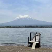 富士山河口湖大石公園🗻🌟