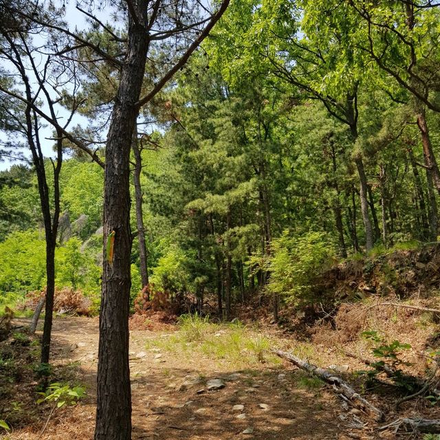 인천여행 강화 교동도 화개산 등산