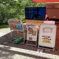 淡路島！ニジゲンノモリ「アッパレ！戦国大冒険！」巨大アスレチック！子供はもちろん大人もチャレンジ可
