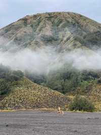 📍印尼背包客之旅 -《婆羅摩火山攻略》