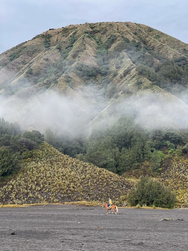📍印尼背包客之旅 -《婆羅摩火山攻略》