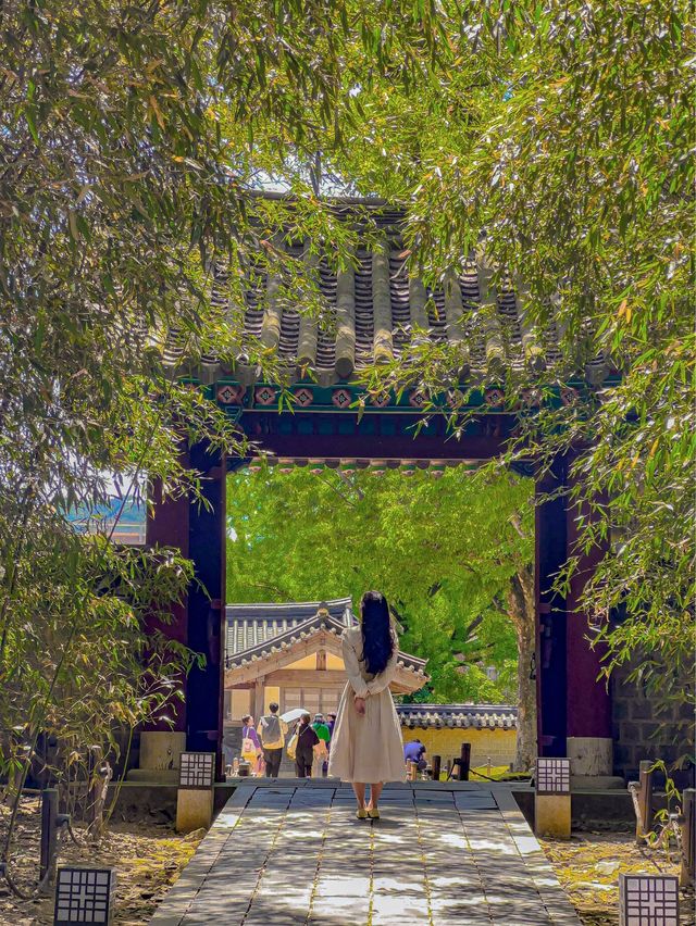 울창한 대나무숲 포토존이 유명한 전주 핫플!🍃🎋