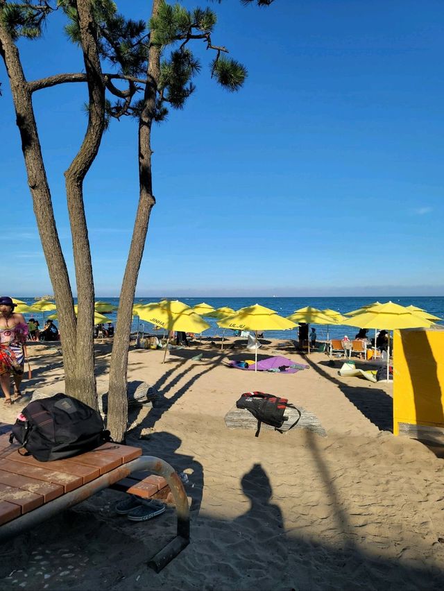 여름핫플! 울산 진하해수욕장🏖