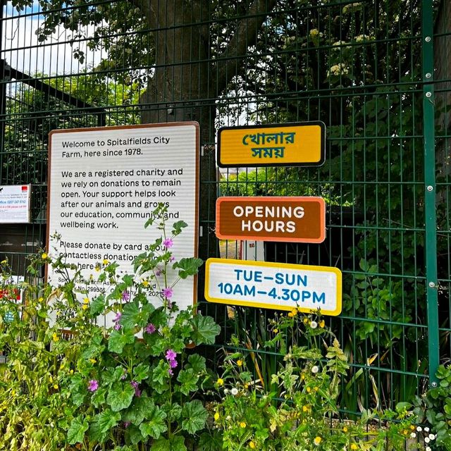 LOVELY ANIMAL FARM IN LONDON!