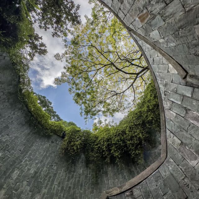 📝 福康寧公園🌳✨ 螺旋樓梯打卡位✨