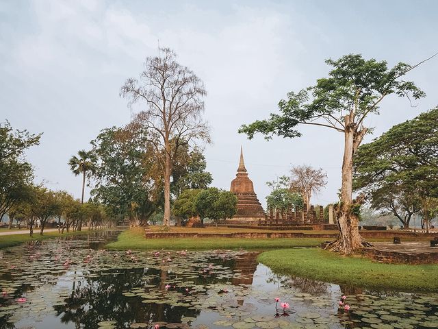 遊泰國🇹🇭素可泰的沙西寺