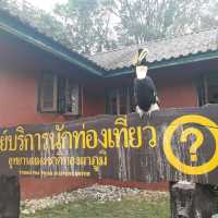 ปราสาทเมืองสิงห์