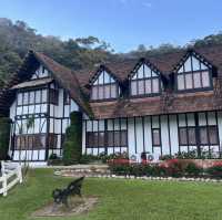 20 degree summer at Cameron Highland 