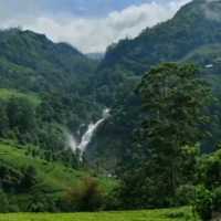 Hidden beauty of Munnar 