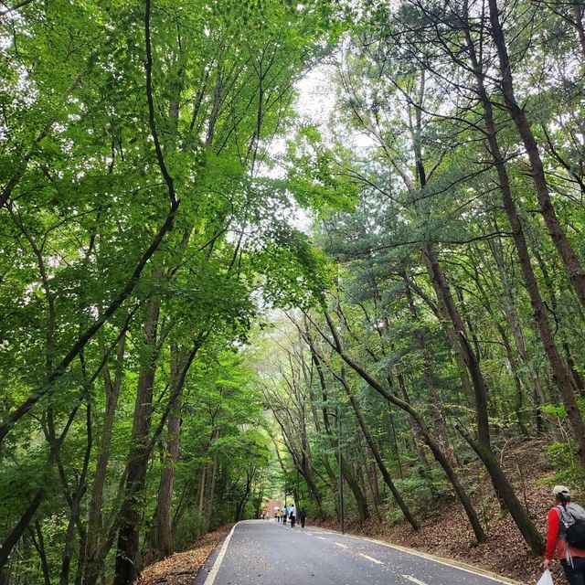 서울대공원 산림욕장길, 동물원둘레길, 산책로, 놀이공원
