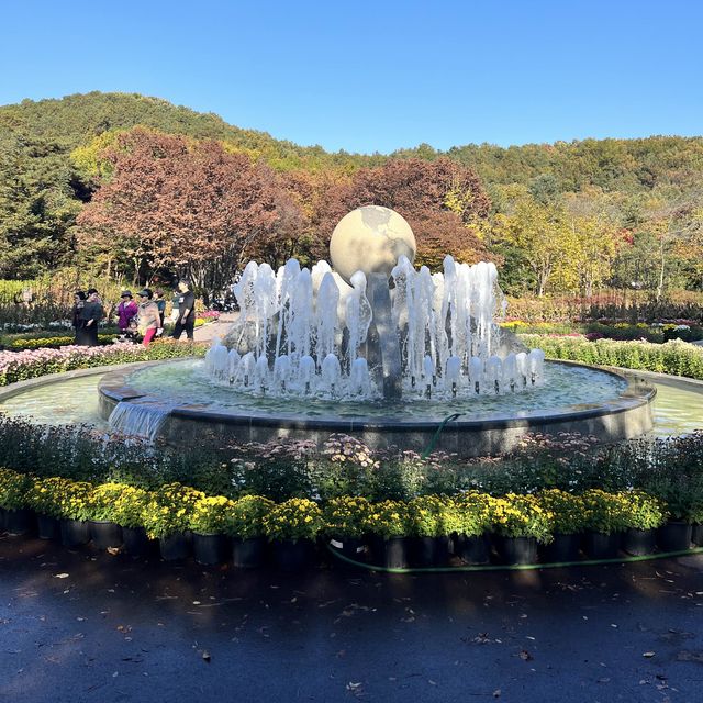 대구 가을 단풍은 대구 수목원으로