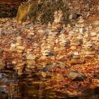 Beautiful Autumn View of Beopjusa Temple