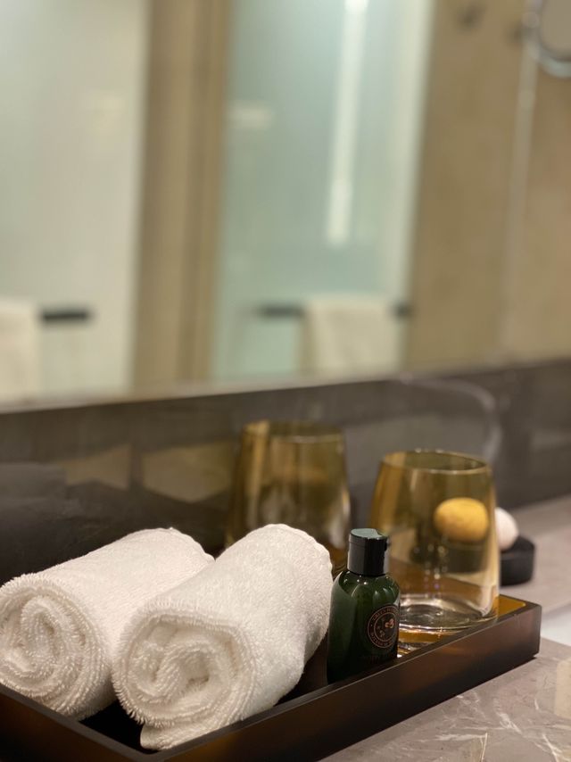 Dusit Thani Laguna Singapore 