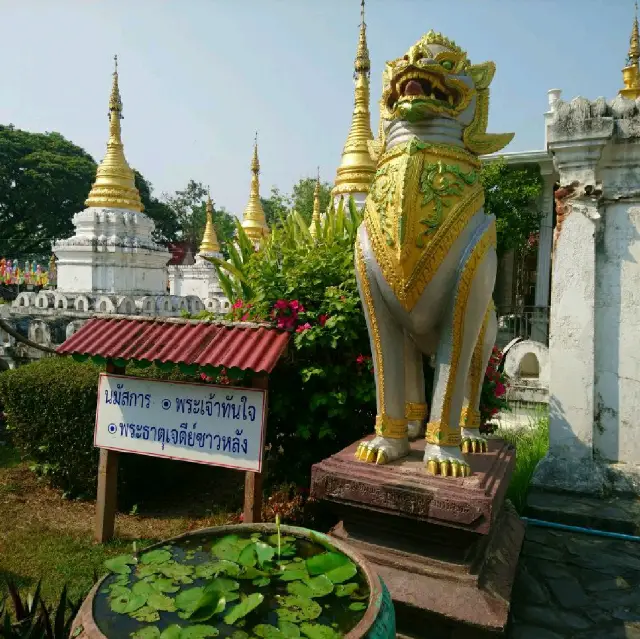 นมัสการพระเจ้าทันใจ วัดเจดีย์ซาว