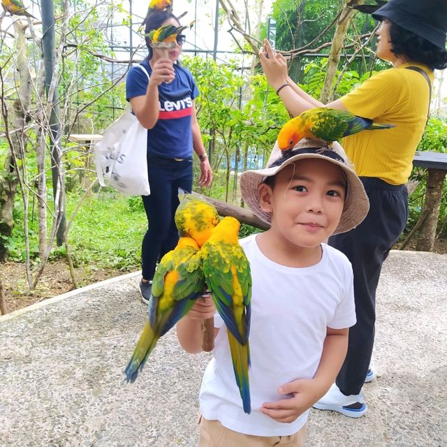 Cebu Safari and Adventure Park🏞️