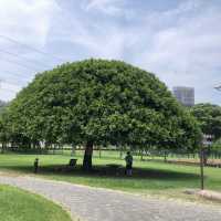 大溪河濱公園