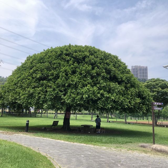大溪河濱公園