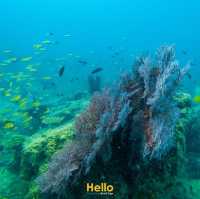 ร้อนนี้ หนีลงเล เกาะไข่ เกาะร่ม คุระบุรี