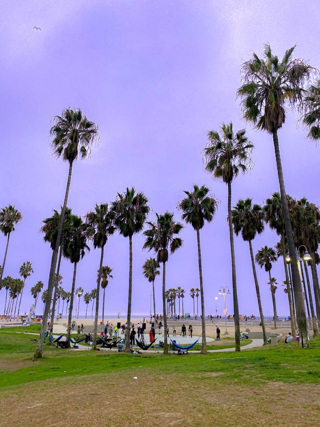 LA에서 힙한 사람들 집합소인 베니스비치🌴