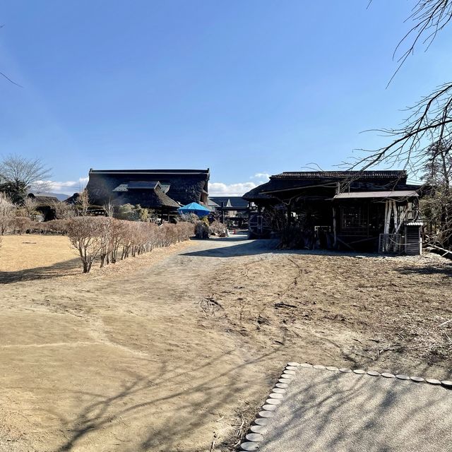 のどかな風景の菖蒲池
