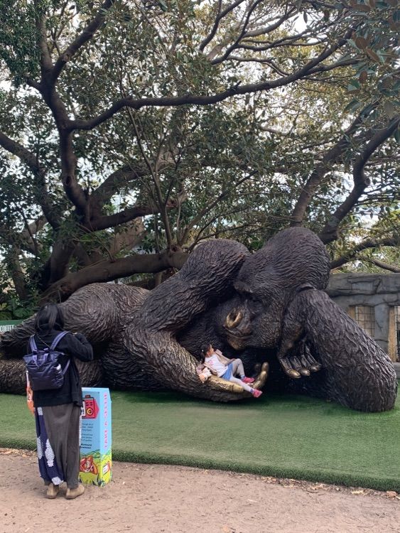 Taronga Zoo🐨 @Sydney🇦🇺