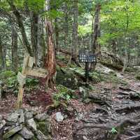 【山梨】いざ夏山へ！広河原から白根御池までの登山道
