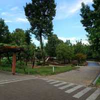 愛知旅行「岩ケ池公園」