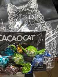 【美味しすぎるチョコ】北海道産のCACAOCAT