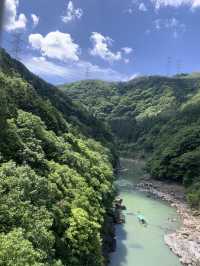 🥹🌸太漂亮了吧! 在JR嵯峨嵐山站隨意拍都是美照!🌿
