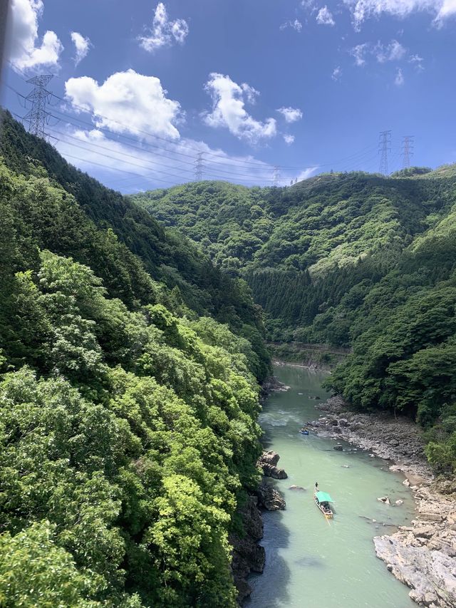 🥹🌸太漂亮了吧! 在JR嵯峨嵐山站隨意拍都是美照!🌿