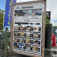 【大阪・大正】タグボート大正の絶品沖縄料理「沖縄酒場 きじむなーの森」