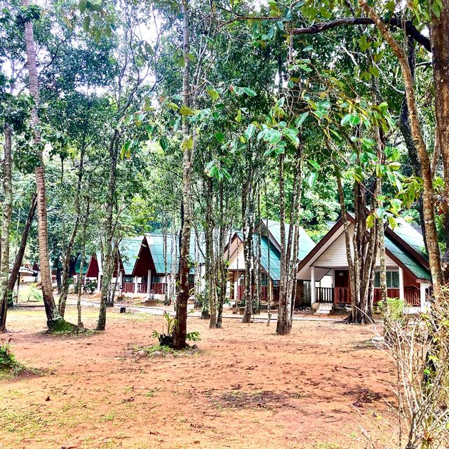 Cameron Island Resort