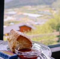자연을 바라보는 홀리가든⛰️ 