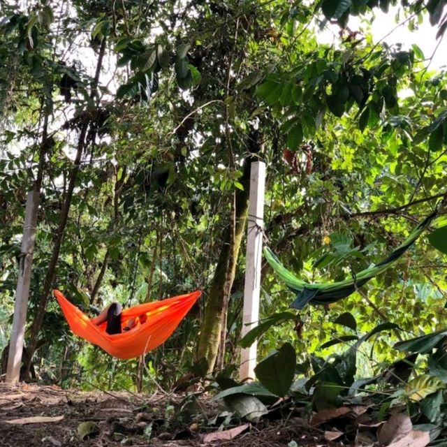 Hammock Galore