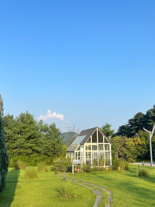 경기 이천 더글로리 촬영지 티하우스에덴