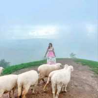 Akha Framville🐑🌳🍃