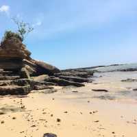 Place where jungle and beach meet