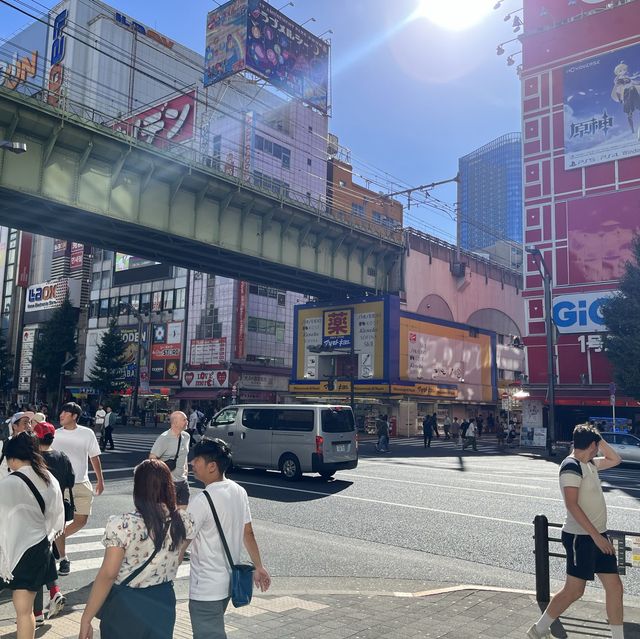 서브컬쳐를 원한다면? - 도쿄 아키하바라(秋葉原)