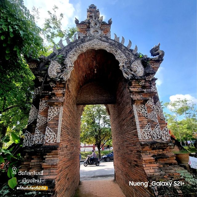 วัดโลกโมฬี [วัดสวยเก่าแก่ล้านนา] - เชียงใหม่