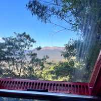 Scenic World 