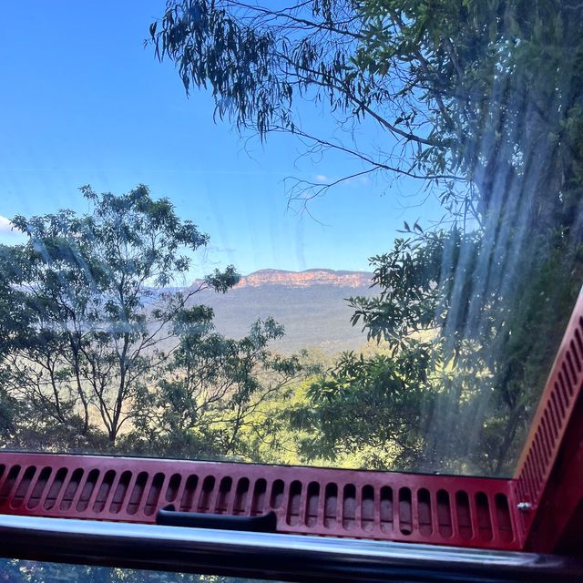 Scenic World 