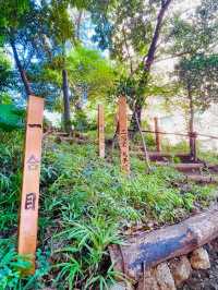 【東京都/上目黒氷川神社】首都高の目線にある神社